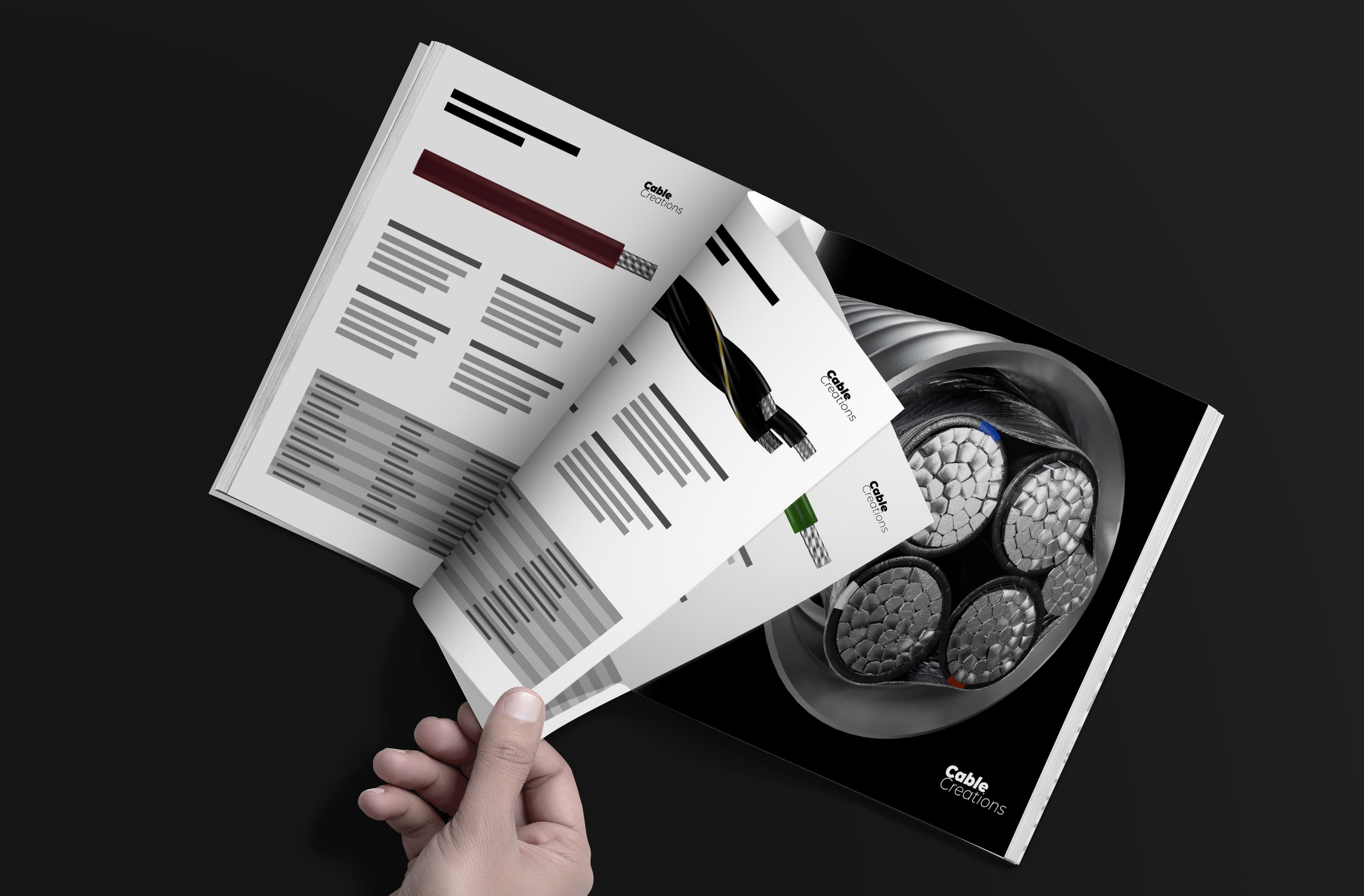 Product Catalog Visualization